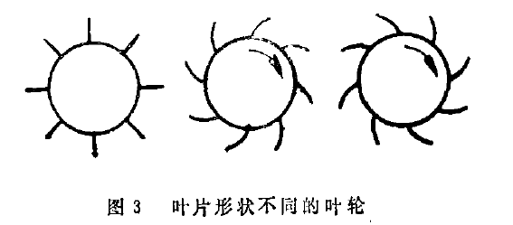 图3叶片形状不同的叶轮