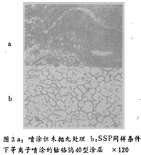 图3a:喷涂但未抛丸处理b:SSP同样条件下等离子喷涂的枯格钨40型涂层欠120